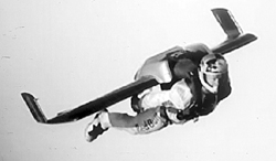 Flying like a bird