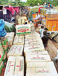 Labourers unload cartons of apples at the Sector 26 vegetable and fruit market on Saturday following a bumper crop in Himachal Pradesh
