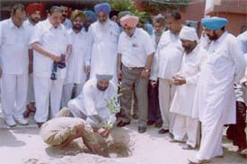 Mayor Nahar Singh Gill plants a sapling at Sunet village in Ludhiana