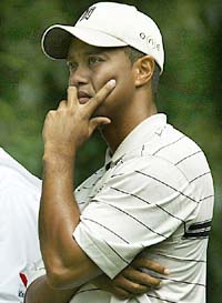 Tiger Woods looks down the fairway