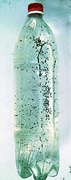 A bottle containing water drawn from a tap at Morthikari village.