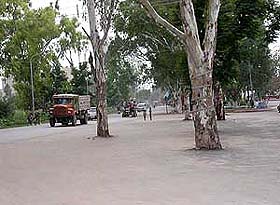Forest Land along the Ambala-Shimla national highway has been metalled by the owner of a marriage palace in Zirakpur