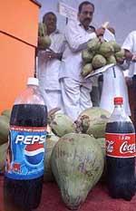 Indian Democratic Party activists display coconuts during a demonstration against cola giants Pepsi and Coke in New Delhi 