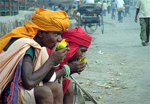 FAREWELL TO MANGOES