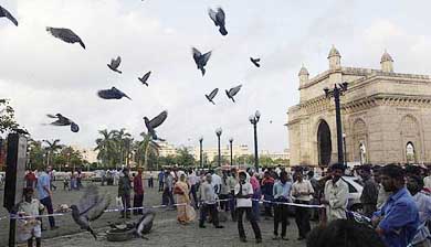 Pigeons are back at Mumbai's Gateway of India after Monday's twin blasts