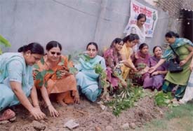 Members of Sarabha Ladies Club plant saplings at Shri Geeta Temple