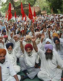Farmers from Amritsar, Gurdaspur and Ferozepore hold a rally