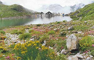 A magical long view of Hemkunt Sahib