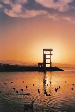 The watch tower at Sukhna Lake