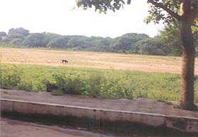 A bald, unutilised patch in Delhi Cantt.