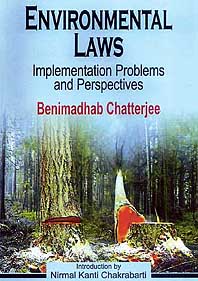 Environmental Laws: Implementation Problems and Perspectives