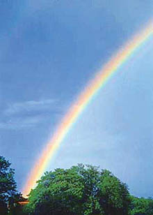 Each colour of the rainbow creates a separate sensation