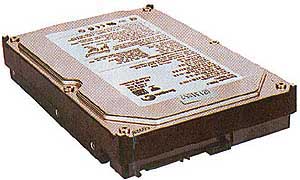 Seagate - 40 GB