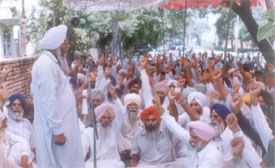Farmers demanding the payment of cane arrears stage a dharna in front of Nahar Sugar Mill in Amloh