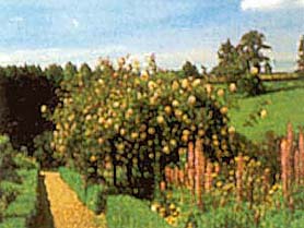 Parkland and gardens