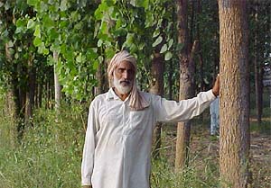After investing over six or seven years, farmers see their dreams coming apart