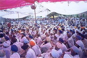 Hundreds of Sikhs who gathered at Safidon on Monday in protest against the alleged torture of four youths