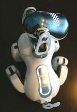 Sony Corp's latest Aibo entertainment robot is demonstrated at a Sony office in Tokyo 