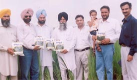 Farmers of Gurreh village, near Jagraon, who received seed packets on Tuesday
