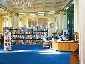Bookshelves can also serve as room dividers