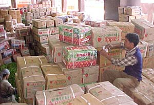 Apple boxes piled up at Shimla. 