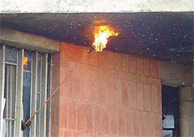 An enormous beehive disturbing students of English Department since long being removed at Panjab University on Monday.