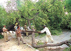 Workers under the watchful eyes of the police hurriedly remove a tree which had fallen on the busy Deen Dayal Upadhaya Marg which was also the route of the Deputy Prime Minister L.K. Advani’s motorcade on Monday