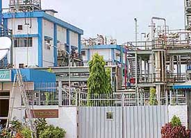 The plant of Ranbaxy Laboratories Limited at SAS Nagar that has been awarded National Safety Award recently.