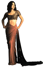 A model in Satya Pauls outfit.