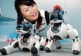 A Sony Corporation employee demonstrates the new Aibo robot dogs 