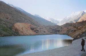 Celestial sight: A tal near Patseo 