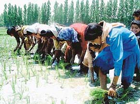 Women should be trained in farm management skills