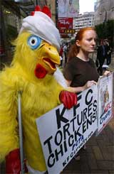 Activists from People for the Ethical Treatment of Animals, one dressed as an injured chicken, protest outside a Kentucky Fried Chicken chain restaurant in Hong Kong 