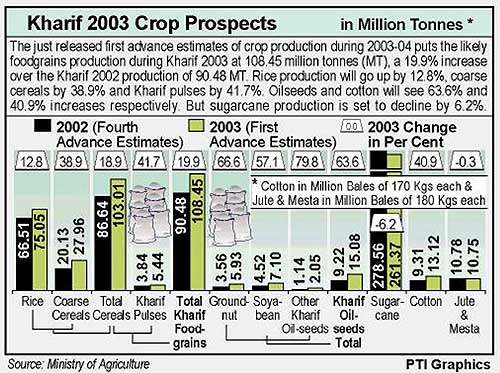 Kharif 2003 crop prospects