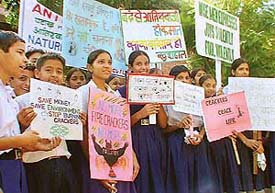 Students of Government Model Senior Secondary School, Sector 46, take part in a rally against crackers in Chandigarh on Friday. 