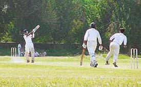 A Patiala batsman in action in a match against Ludhiana played on Friday during the Third Punjab State Cricket Tournament for Deaf and Dumb being held in Ludhiana.