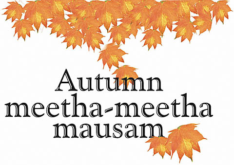 Autumn meetha-meetha mausam