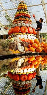 Lisa Hall, Exhibitions Executive at the Royal Botanic Gardens, Kew, places a pumpkin in the Autumn Cornucopia display at the gardens, in Surrey