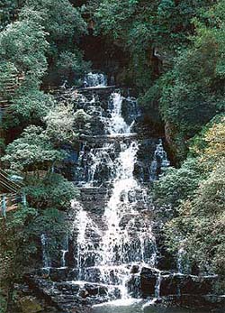 Elephanta Falls