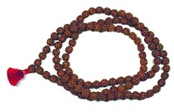 Rudraksha beads have a number of powerful properties