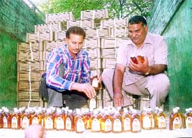 Liquid diet: Two trucks laden with liquor bottles were seized by the Crime Branch at Najafgarh in the Capital 
