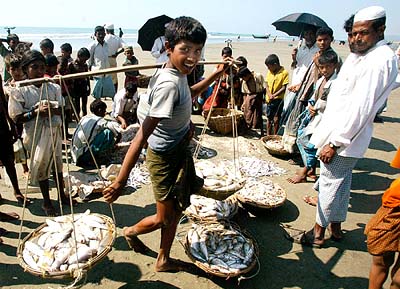 A Bangladeshi boy carries baskets of fish at Tekna, located near the Banglagesh-Myanmar border