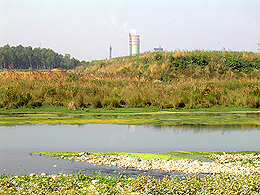 ... and after the Nangal Dam where the industrial effluents enter the river for the first time
