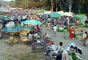 A view of the Apni Mandi in Sector 15, Chandigarh.