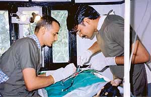 A  surgery being performed at the Darjeeling Goodwill Animal Shelter
