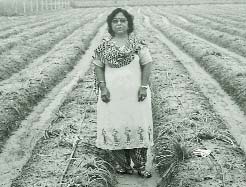 Ms Beena Sharma on her farm near Zirakpur.