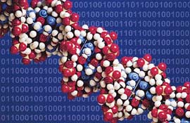 DNA 