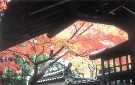 The workmanship of Daisaku Ikeda