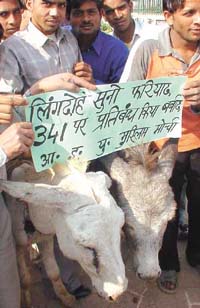 Activists of All India United Muslim Morcha protesting with donkeys at Ram Leela Maidan in the Capital on Saturday.