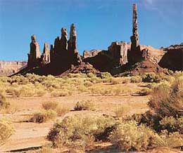 Totem Pole and the Yeibichai  